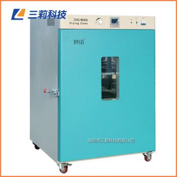 300℃立式电热鼓风干燥箱 DHG-9920B300℃大型高温烘箱
