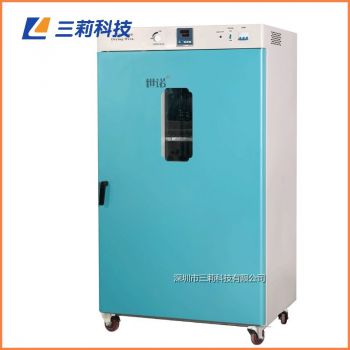 620升300℃立式老化测试烤箱DHG-9620B电热鼓风干燥箱	