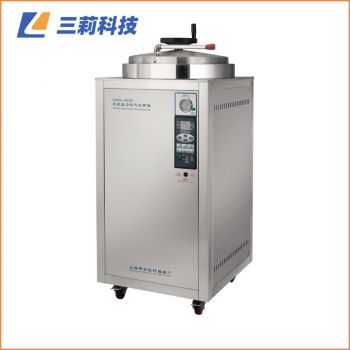 上海申安LDZH-200L手轮式快开门自动控制高压蒸汽灭菌器