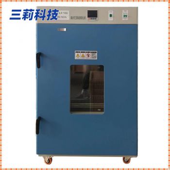 大型高温老化烘箱 大容量鼓风干燥箱 DHG-9624A鼓风干燥箱